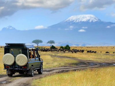 Masai Mara Game Drive