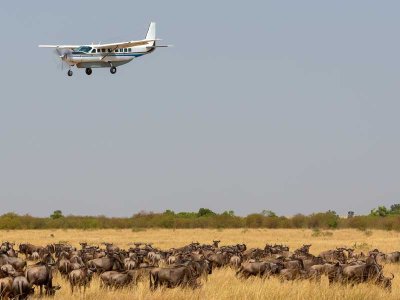 Fly-in Safari