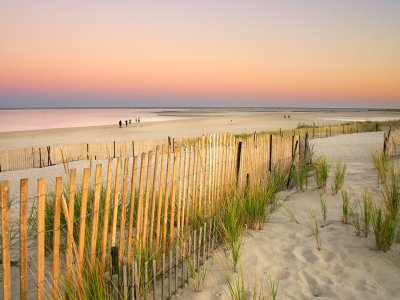 Cape Cod