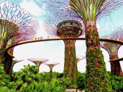 Gardens by the Bay, Singapore