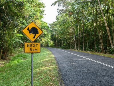 Cassowary Crossing, Queensland