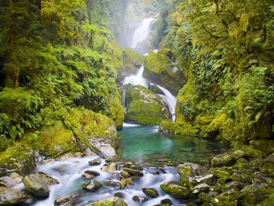 Milford Track