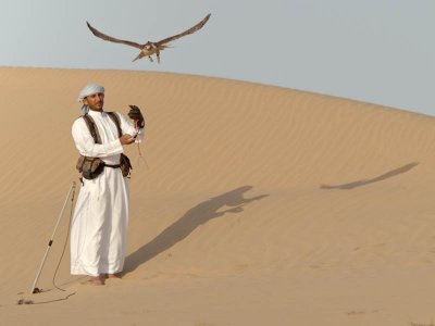 Desert Falcon