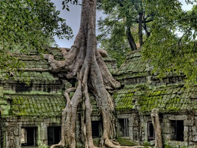 Angkor Wat Complex
