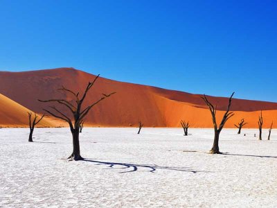 Deadvlei Namibia