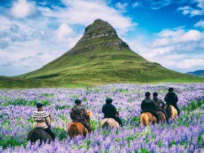 Horseriding Tour