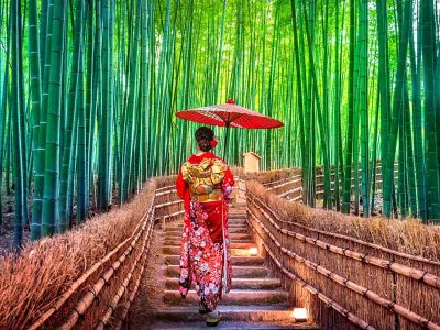 Bamboo Forest Kyoto