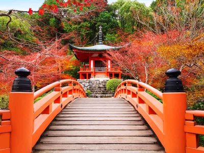 Kyoto Daigoji Temple