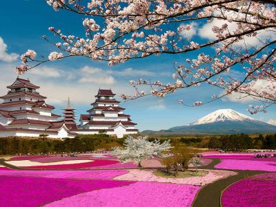 Spring in Japan