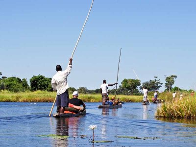 Mokoro Boat Trip