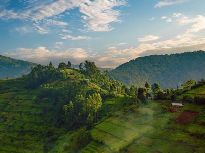 Bwindi Impenetrable National Park