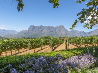 Winelands