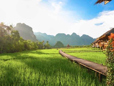 Rice Fields near Vang Vieng