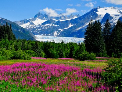 Mendenhall Glacier