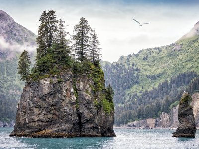 Kenai Fjords