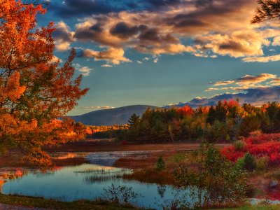 Acadia National Park