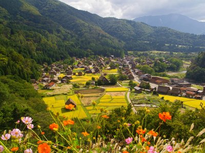 Shirakawa-go