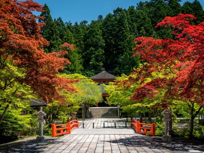 Koyasan