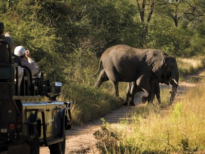 Game Drive