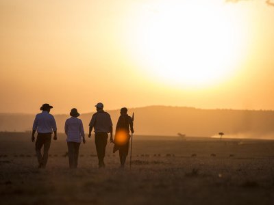 Elewana Elephant Pepper Camp