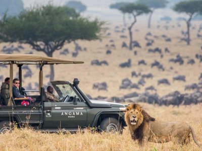 Angama Mara, Masai Mara