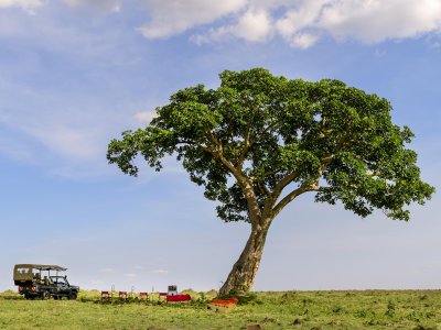 Angama Mara, Masai Mara