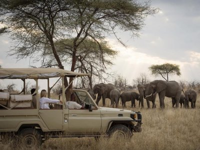 Nomad Kigelia Ruaha