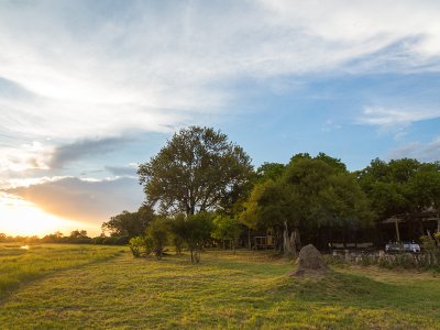 Sango Safari Camp, Okavango Delta