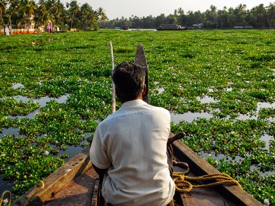 Keralan Backwaters