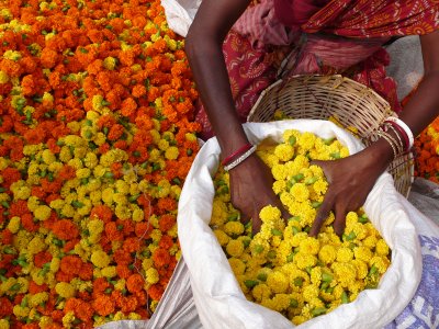 Kolkata Flower Market