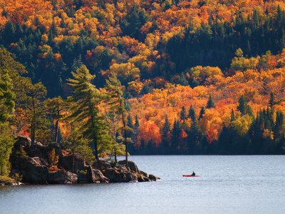 Algonquin Park