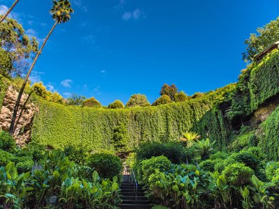 Sinkhole Garden, Mount Gambier