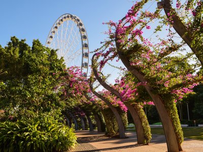 Brisbane Southbank