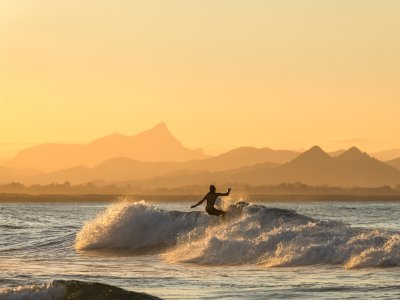 Surfer