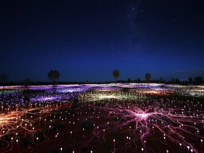 Field of Light