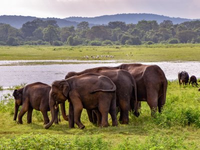 Gal Oya National Park