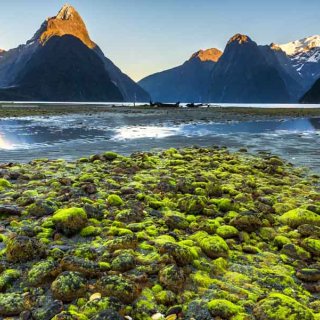 Milford Sound