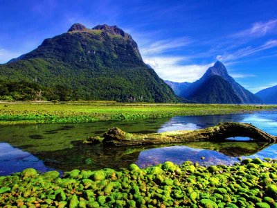 Milford Sound