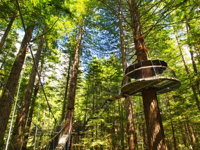 Canopy Walkway, Rotorua