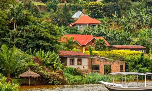 Best of Rwanda Safari