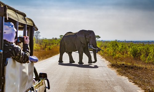 Kruger National Park