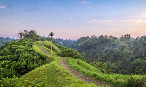 Ubud Bali