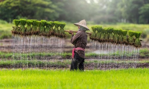 Luxury Mekong River Cruise