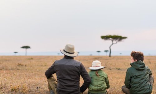 Family Safari in Kenya