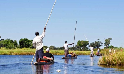 Falls, Chobe and Delta