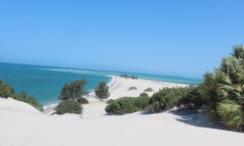 Safari & Mozambique Honeymoon