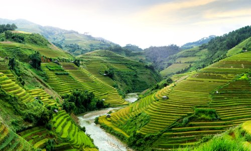 Absolute Vietnam