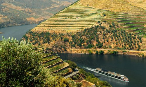 7-Night Experience the Douro