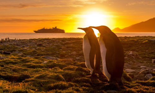 Transatlantic Cruise From Antarctica to Africa with Ponant