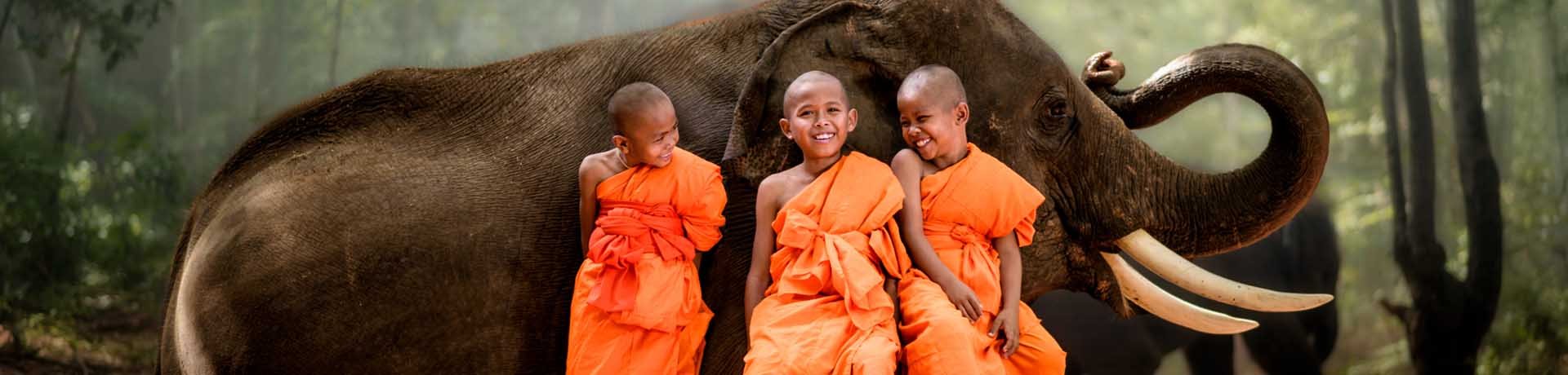 Monks with Elephant